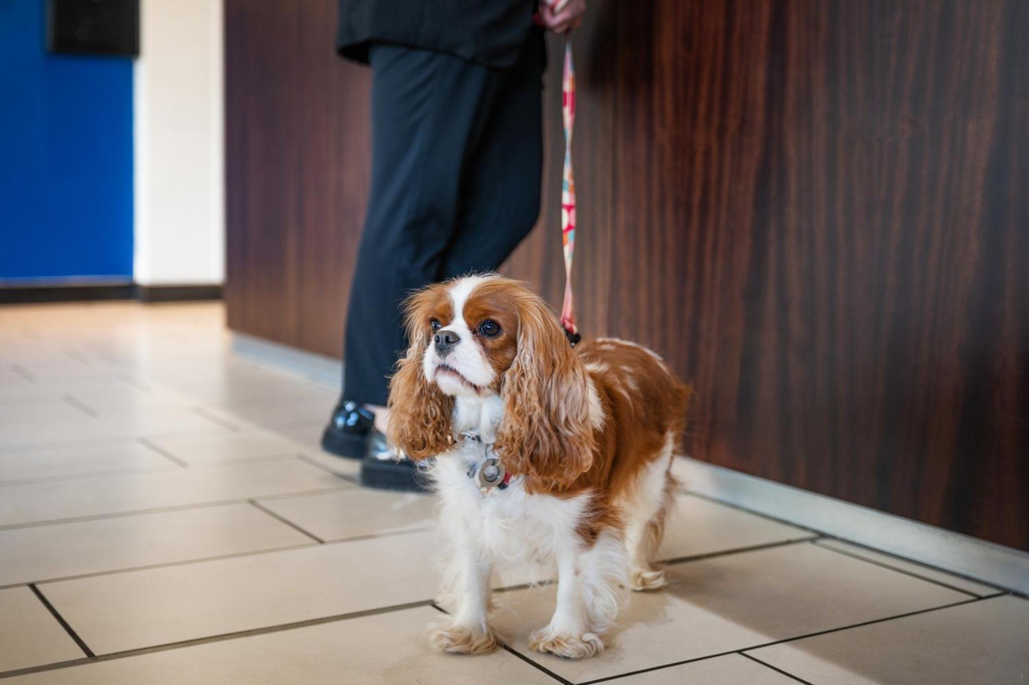Holiday Inn Express Cambridge Duxford M11 Jct 10 By Ihg Bagian luar foto